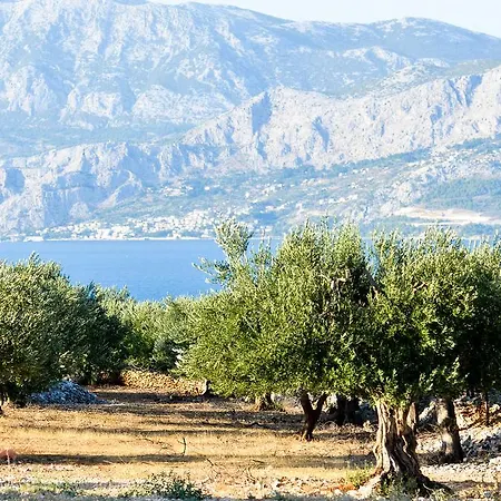 Romana Διαμέρισμα