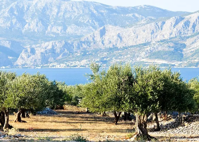 Romana Apartamento